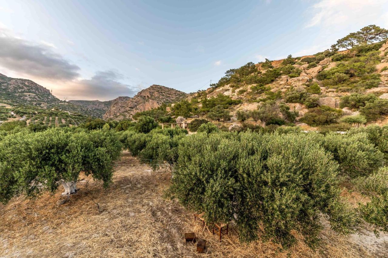 Makrýgialos Natura Cottages المظهر الخارجي الصورة